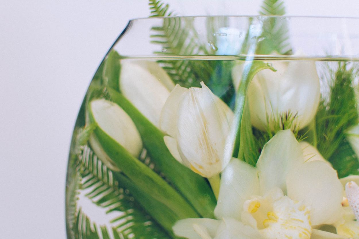 The Tulip Grotto